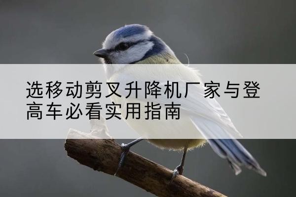 灞桥电动升降机厂家-选移动剪叉升降机厂家与登高车必看实用指南