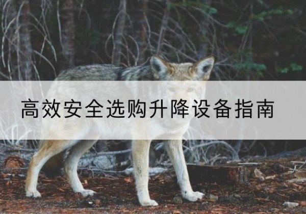 灞桥升降货梯厂家推荐-*安全选购升降设备指南