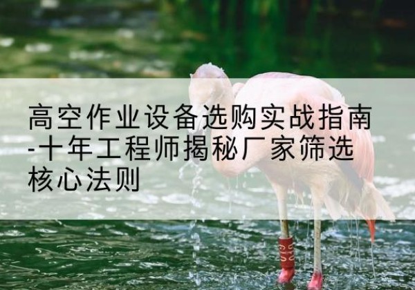 灞桥剪叉式升降机厂家-高空作业设备选购实战指南-十年工程师揭秘厂家筛选核心法则